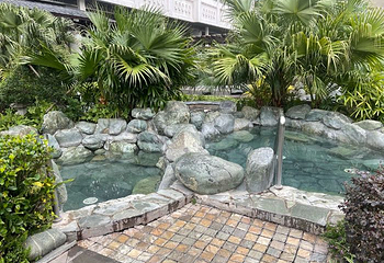 从化碧水湾温泉第 79 张图片
