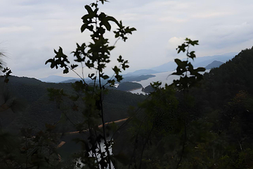千岛湖景区第 264 张图片