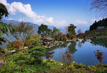 川西红枫岭第 61 张图片