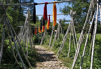 鄂伦春民俗旅游区第 24 张图片
