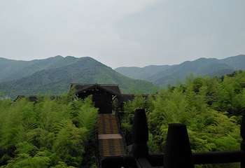 重庆城市精英真人CS铁山坪森林公园店第 10 张图片
