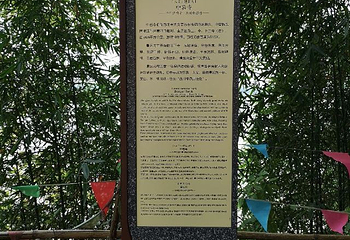 中岩第 17 张图片