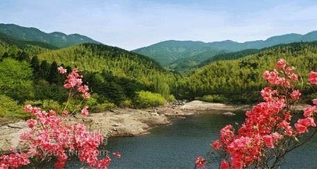 黄柏山国家森林公园第 35 张图片