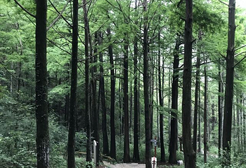 波尔登森林公园第 40 张图片