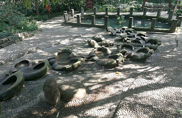 活水公园第 12 张图片