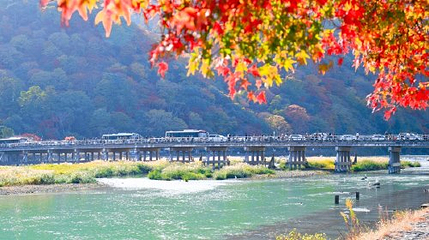 岚山第 9 张图片