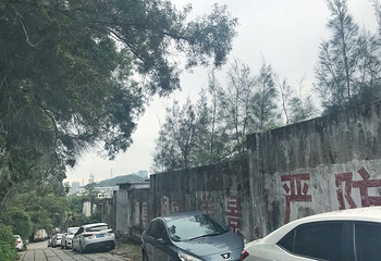 怪坡第 25 张图片