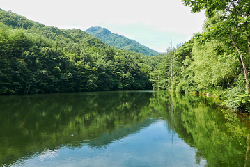 洛阳白云山风景区第 123 张图片