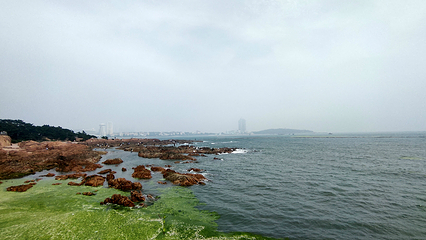信号山公园第 110 张图片