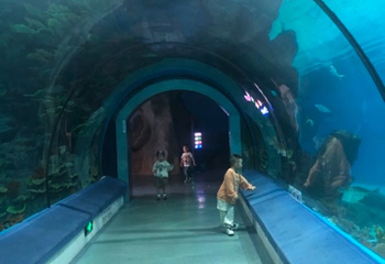 福州罗源湾海洋世界旅游区第 79 张图片
