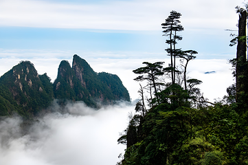 莽山五指峰景区第 5 张图片
