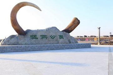 扎赉诺尔猛犸旅游区第 16 张图片