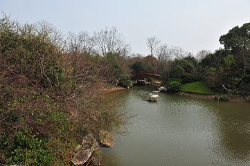 阳山桃花岛景观公园第 10 张图片
