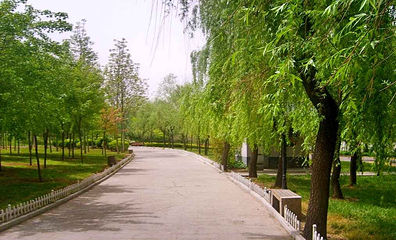 留仙湖公园第 7 张图片