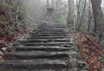 文公山第 25 张图片