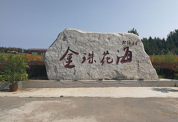 北纬44度金珠花海景区第 46 张图片