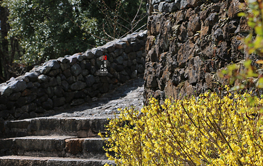 玉峰寺第 16 张图片