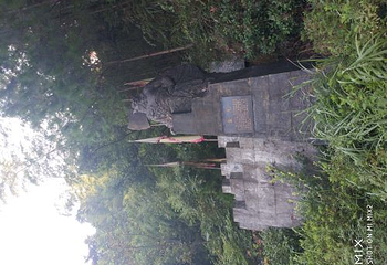大熊山国家森林公园第 19 张图片
