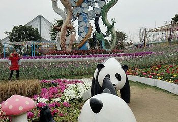 音乐百花谷第 41 张图片