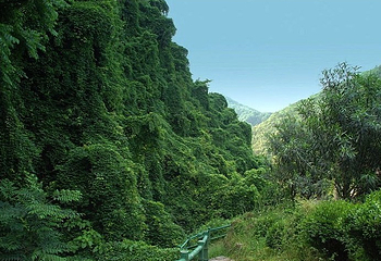 凤鸣山风景区第 5 张图片