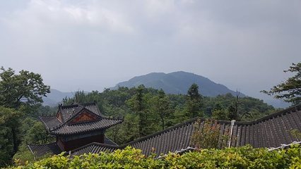 大熊山国家森林公园第 30 张图片