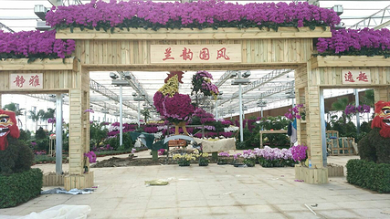 兰趣园第 11 张图片