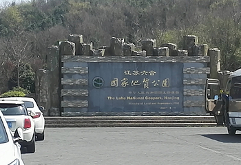 南京石柱林风景区第 11 张图片