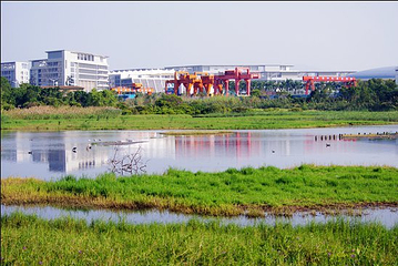 华侨城国家湿地公园第 3 张图片