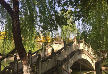 稠州公园第 16 张图片