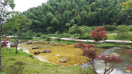 梅岭国家级风景名胜区第 59 张图片