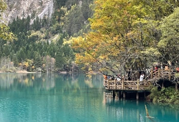 扎如沟第 17 张图片