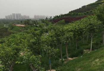 河北省园博园第 39 张图片