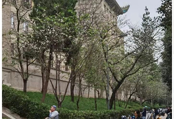 江汉路步行街第 36 张图片