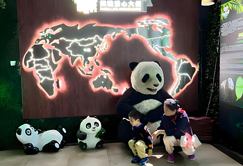 海南热带野生动植物园第 63 张图片