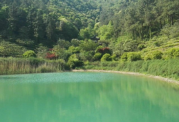 苏州旺山九龙潭风景区第 26 张图片