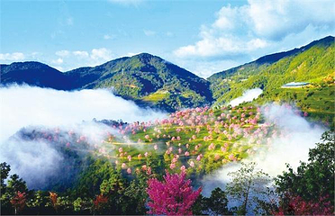 无量山第 4 张图片