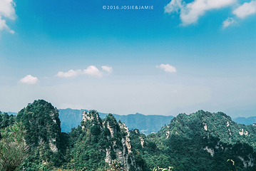 天子山风景区第 76 张图片