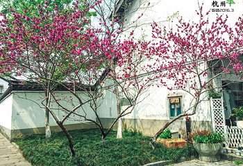 小河直街历史文化街区第 14 张图片