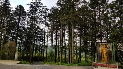 金佛山第 158 张图片