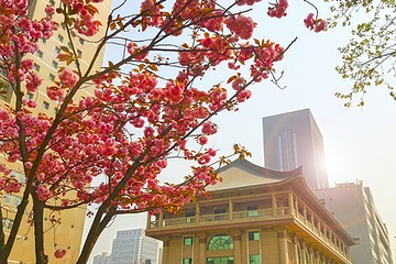 西安音乐学院第 17 张图片