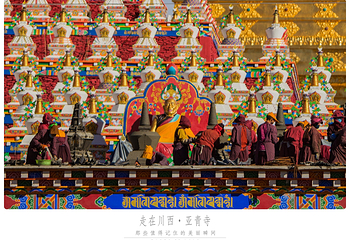亚青寺第 21 张图片