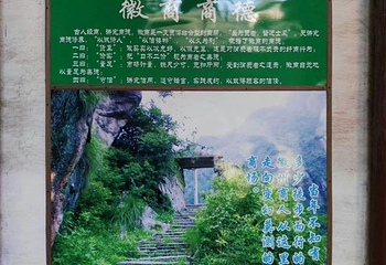 胡雪岩纪念馆第 27 张图片
