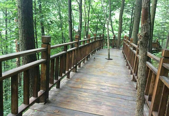 龙峪湾国家森林公园第 34 张图片