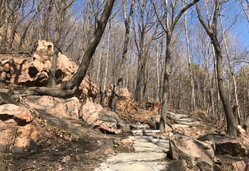 壹台山骆驼峰景区第 16 张图片