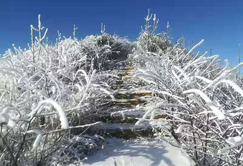 巴山大峡谷第 45 张图片