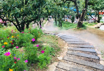 吉姆冒险世界第 37 张图片