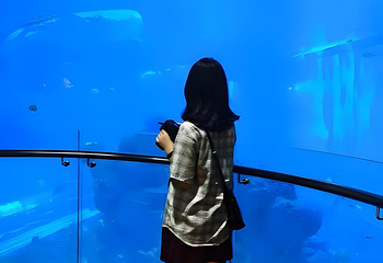 海滨城浩海立方海洋公园第 83 张图片