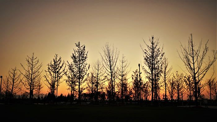 昆明池·七夕公园第 23 张图片
