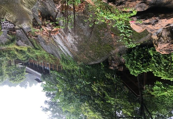 福州旗山森林温泉度假村第 32 张图片