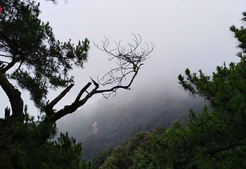 缙云山生态旅游观光索道第 28 张图片